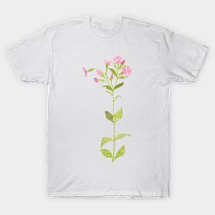 Field campion (full flower) T-Shirt